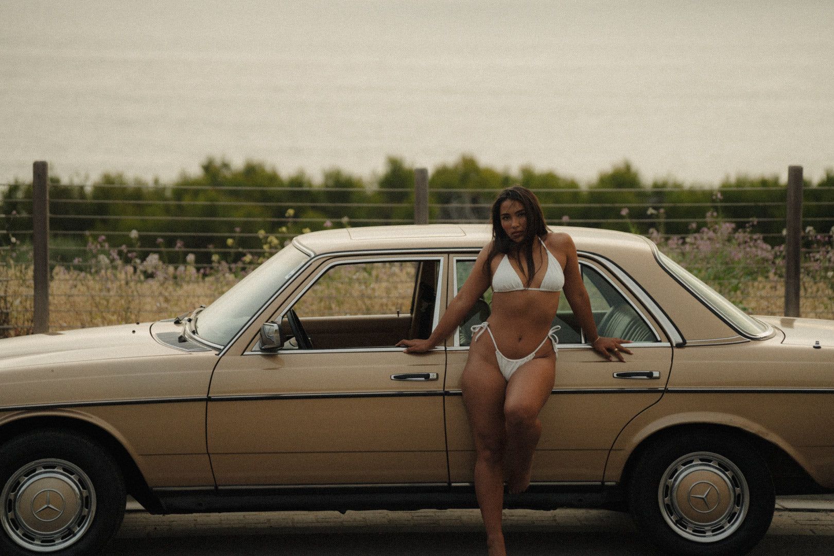 INTRODUCING: CALIFORNIA COAST