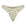 Rio Bottom