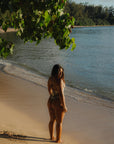 South Beach One Piece - Island Bloom